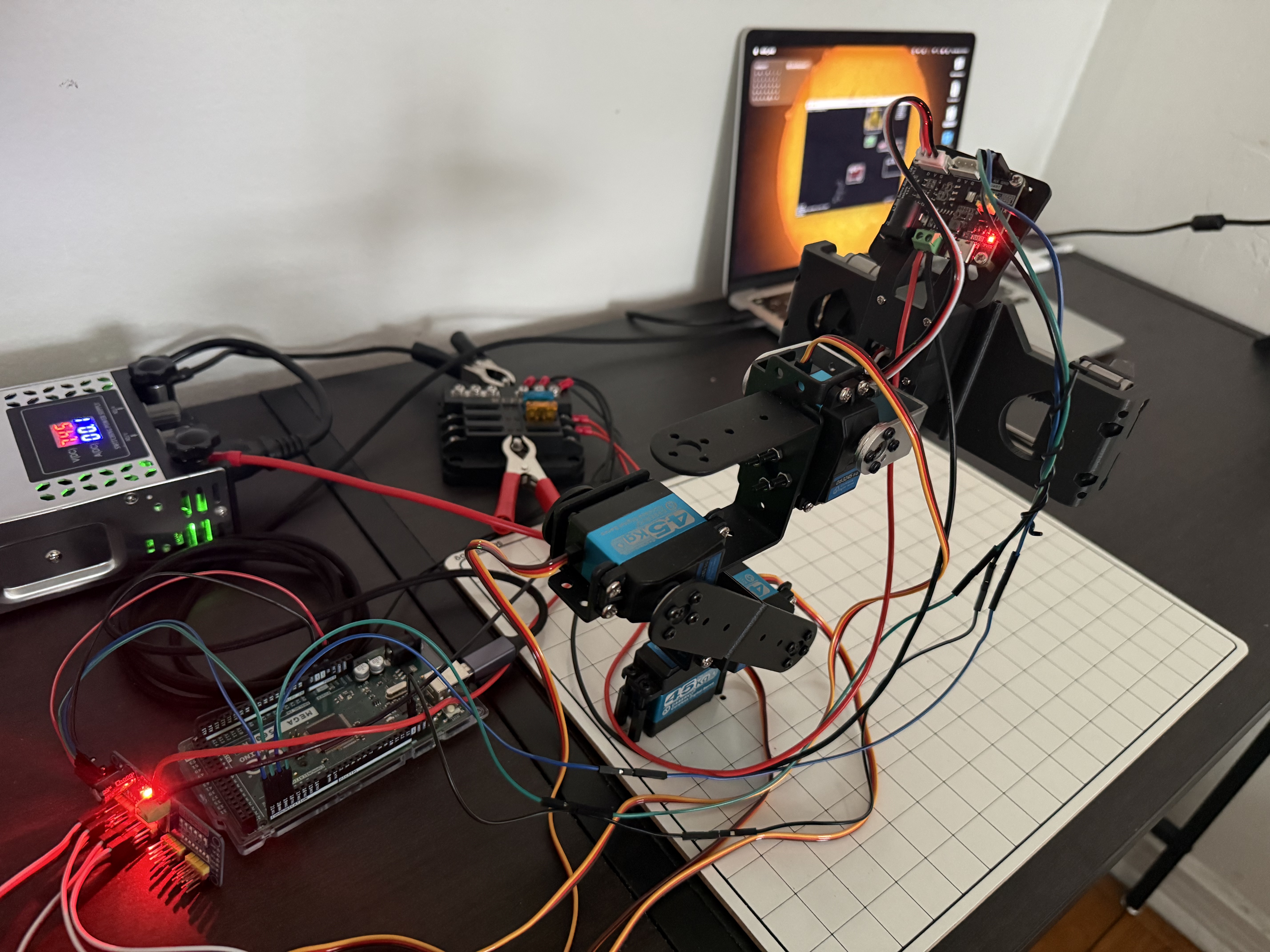 Arm project image
